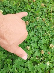 見つけれるかな？