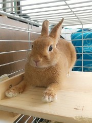 梅雨のジメジメを吹っ飛ばせーー