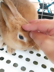 癒しが欲しい人どーぞ