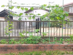 二世さん集合！？