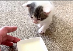 失恋した   昔のことだけどね