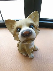 今日も暑いニャン