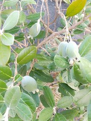 【お題日記】最近感動したこと！