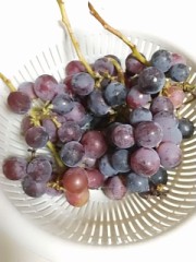 思わずキスしたくなる時