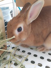 さてと、、どんなふうに生きていこうか？