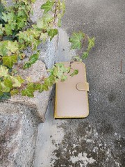 うわっ   見つけちゃったよ