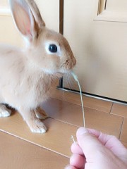 【お題日記】実は興奮するこのプレイ