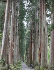 【お題日記】何度も旅行で訪れている都道府県