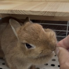 指の運命は、、いかに