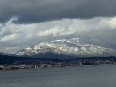 今日はこんな感じ