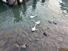 周りは自分の鏡