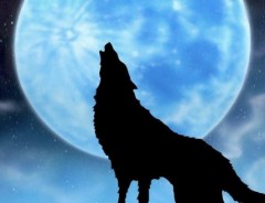 【お題日記】夜に会う人と昼に会う人、違いってある？
