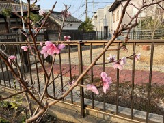 【お題日記】カッコイイ男の条件とは？