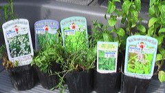 ガーデニングの季節到来！！