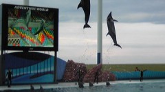 和歌山白浜の旅！６６０キロ