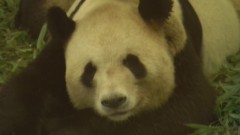 親孝行したら１００万円ゲット！！