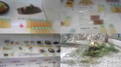 なんとかなる人生！！楽しくも苦しくも、、。