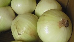 契約農家さん、いつもありがとう！