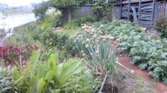 地球５０年後半分なくなる！！