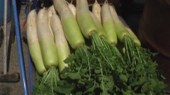 夫婦円満野菜！！