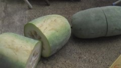 今週も頑張り、明日やすみ＾＾