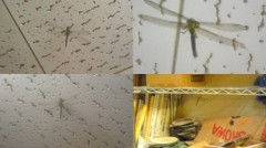 ひどい話！！国の農水省