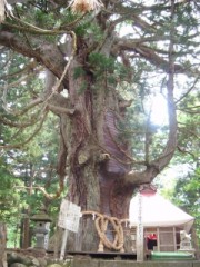 地元のパワースポット