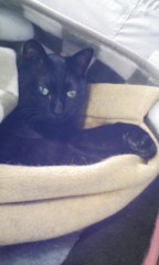 このところパッとしない天気だなー