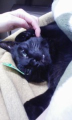 ふゎーっ！今週前半の仕事終わったー＼(^ o^)／モモもお目覚め。