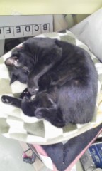 来たぞ来たぞ！目のかゆみ