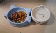 ついにほんとの春の月、3月が来たですねえ