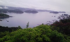 ついに終わった確定申告！そして白魚の踊り食い。