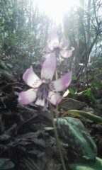 ひさしぶりのログ