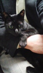 今日は、雑用で忙しかったです。