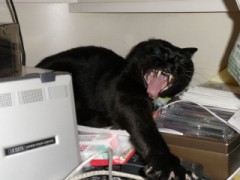 今日の仕事は疲れた。