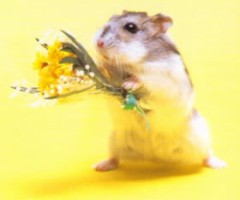 【お題日記】今の仕事、愛してますか？