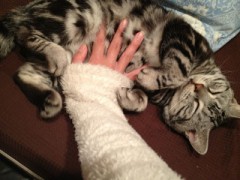 【お題日記】触られるとドキッとする体の部分は？