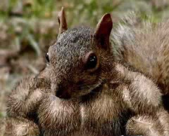 完全復活！さらにパワーアップ！！