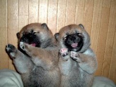 彼女欲しい～。