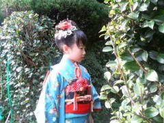 鹿児島では七草のお祝い。