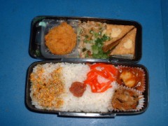 昨日も早起きしてお弁当を作っちゃった・・・