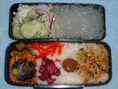 今日の日記です。体重／体脂肪率測定たぶん１９２日目です。