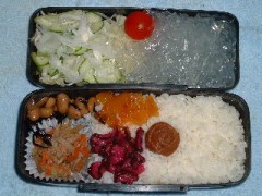 木曜日の日記です。体重／体脂肪率測定たぶん２０３日目です。