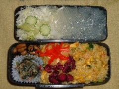 水曜日の日記です。体重／体脂肪率測定たぶん２０６日目です。