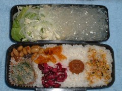 月曜の日記です。体重／体脂肪率測定たぶん２３？日目です。