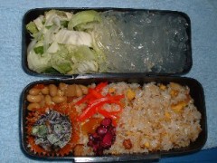 水曜の日記です。体重／体脂肪率測定たぶん２４？日目です。