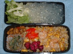 金曜の日記です。体重／体脂肪率測定たぶん２４？日目です。