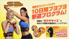 今日からシャドーボクサー始めます。