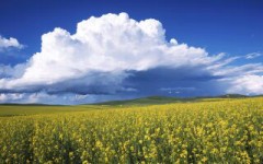 明日から、休み