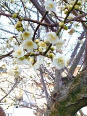 いよいよ、来る